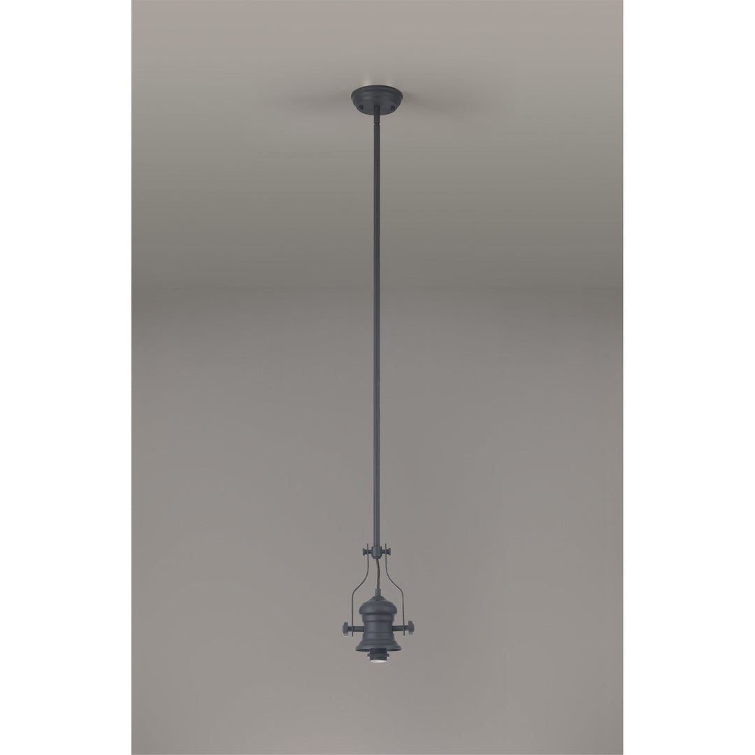 Nelson Lighting NL87369 Louis 1 Light Pendant Graphite