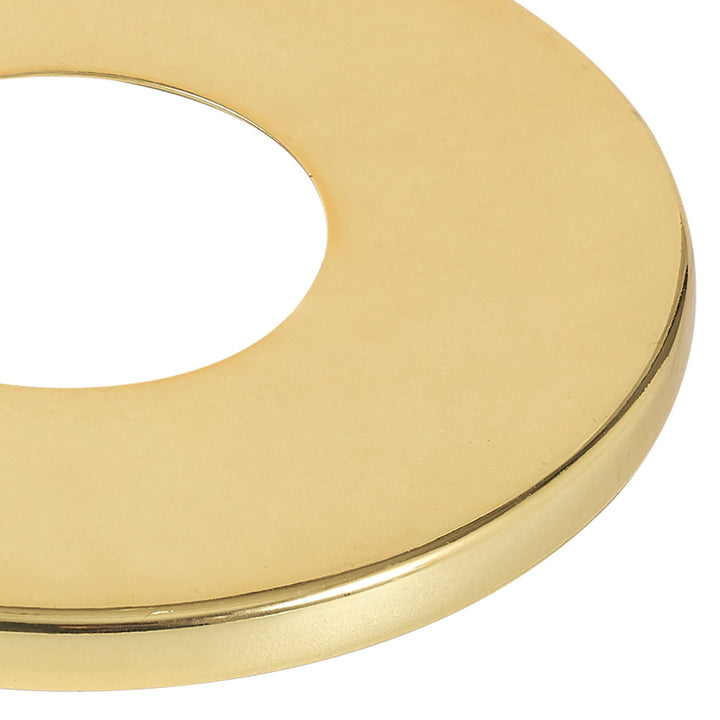 Nelson Lighting NL85639 Raibon Polished BrassMetal Ring Plate