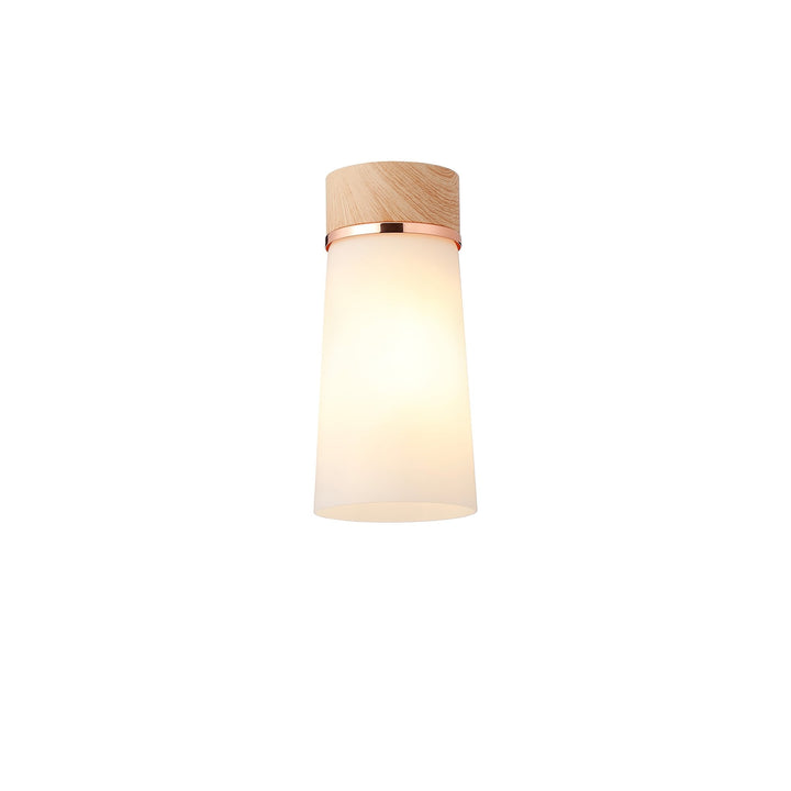 Nelson Lighting NLK15699 Raibon 1 Light Ceiling Light Teak Opal