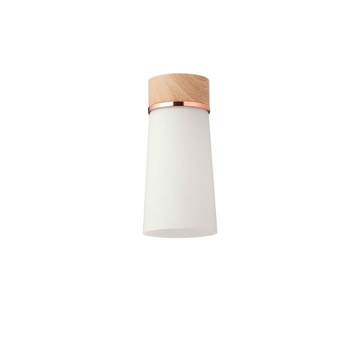 Nelson Lighting NLK15699 Raibon 1 Light Ceiling Light Teak Opal