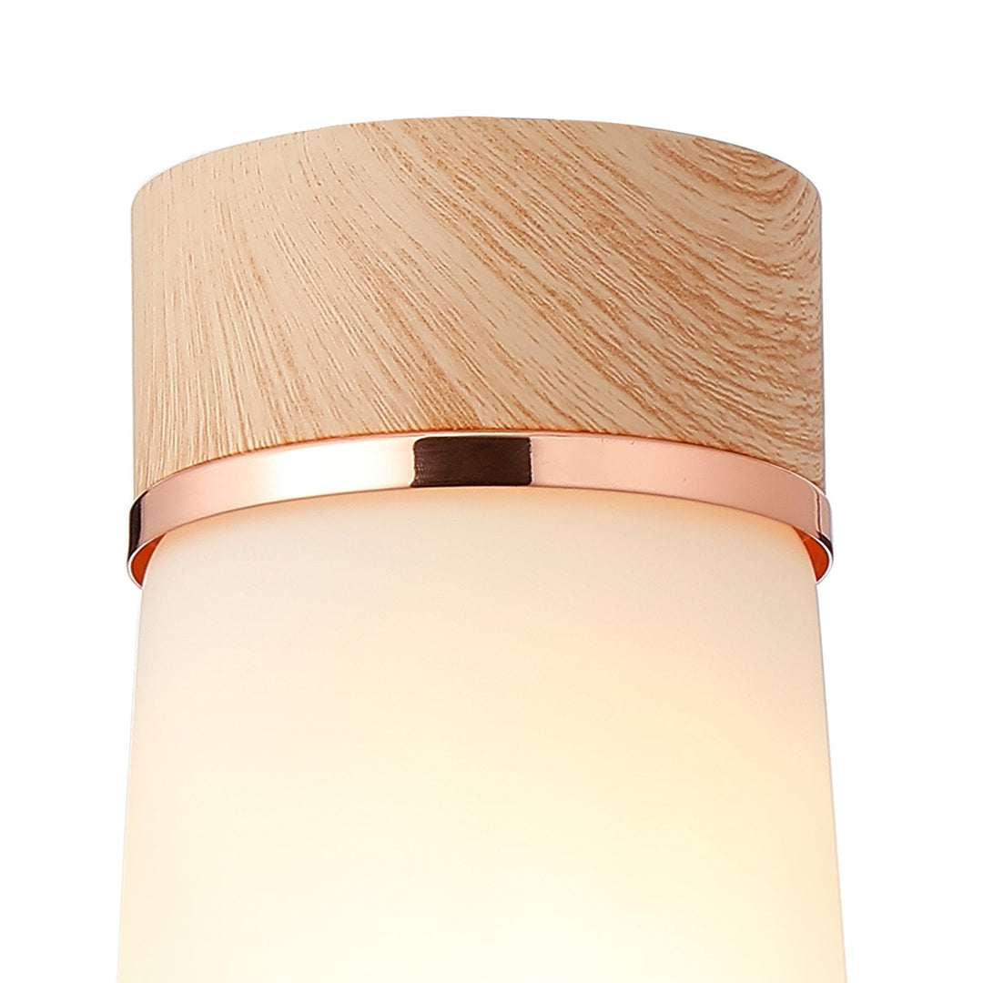 Nelson Lighting NLK15699 Raibon 1 Light Ceiling Light Teak Opal