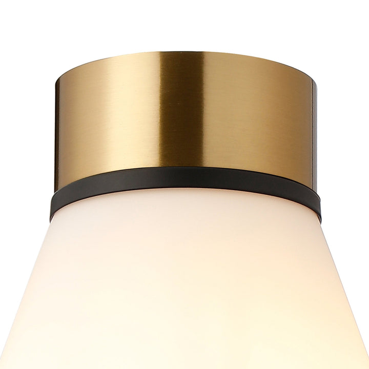 Nelson Lighting NLK15719 Raibon 1 Light Ceiling Light Brass Opal