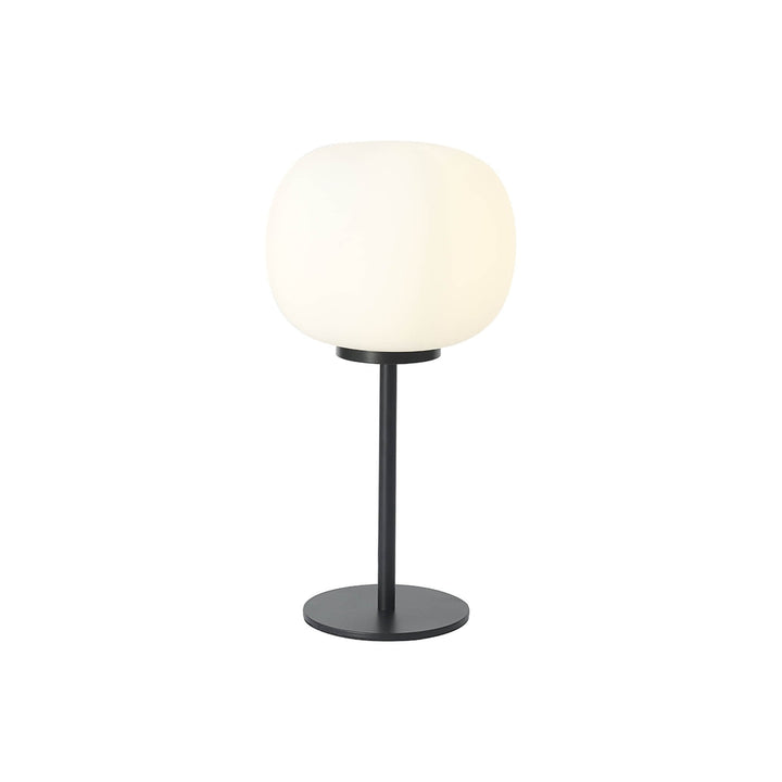 Nelson Lighting NL86459 Sabus 1 Light Table Lamp Matt Black Frosted White