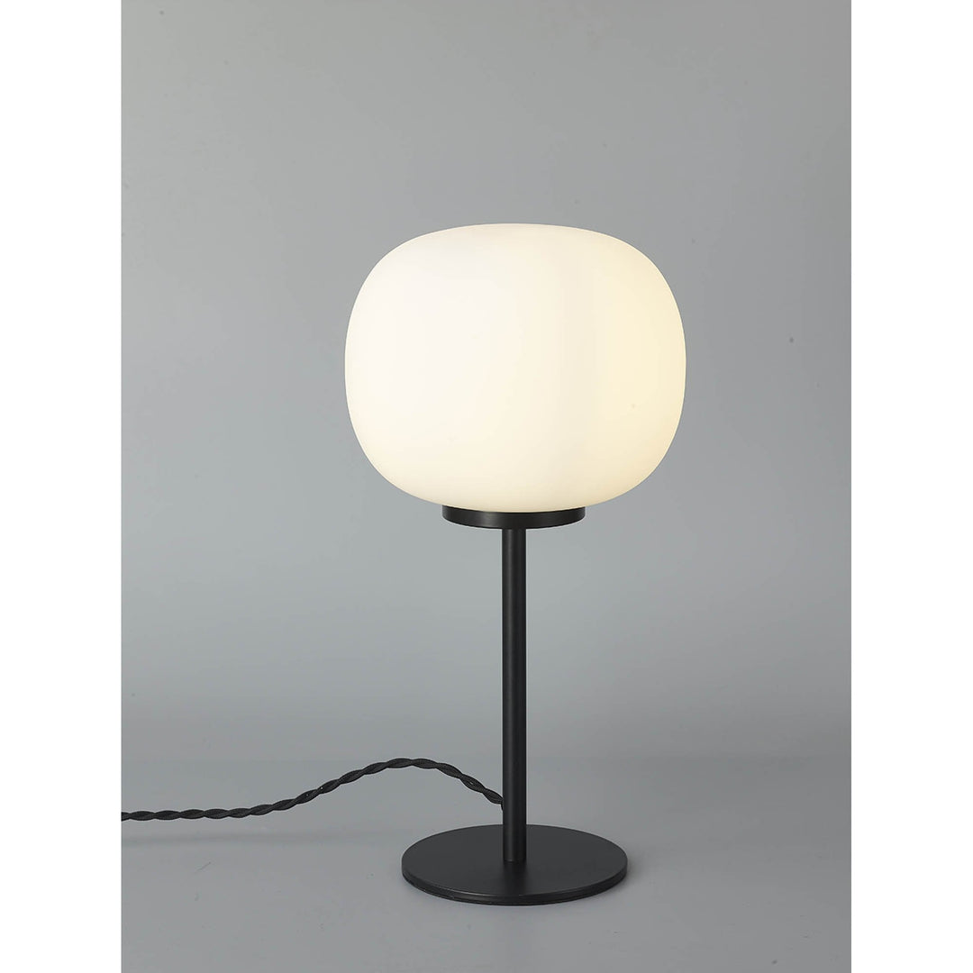 Nelson Lighting NL86459 Sabus 1 Light Table Lamp Matt Black Frosted White