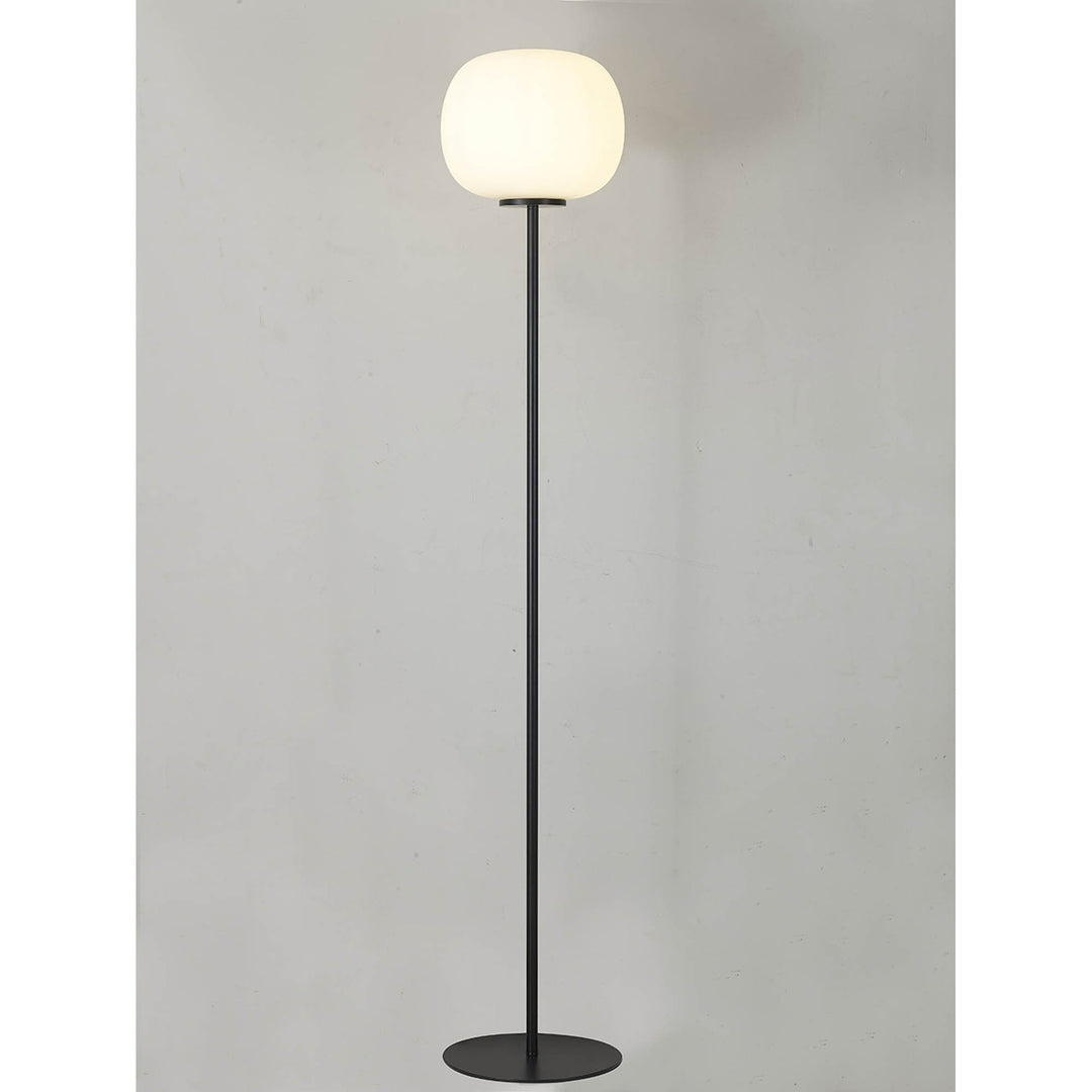 Nelson Lighting NL86469 Sabus 1 Light Floor Lamp Matt Black Frosted White