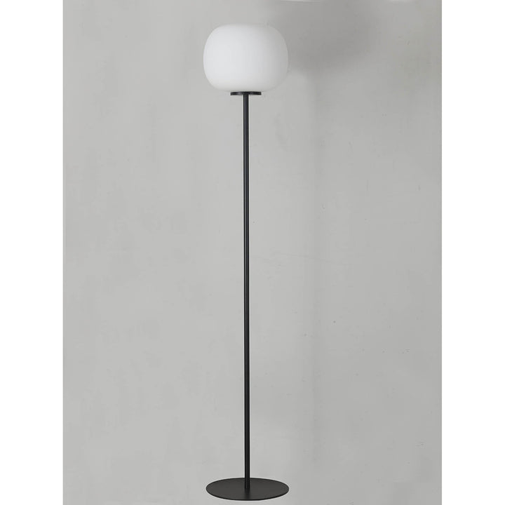 Nelson Lighting NL86469 Sabus 1 Light Floor Lamp Matt Black Frosted White