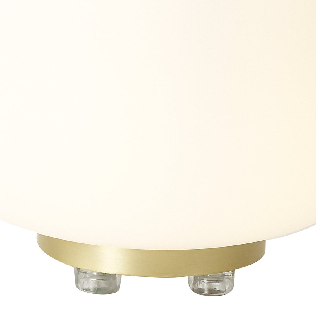 Nelson Lighting NL86529 Sabus 1 Light Table Lamp Satin Gold Frosted White