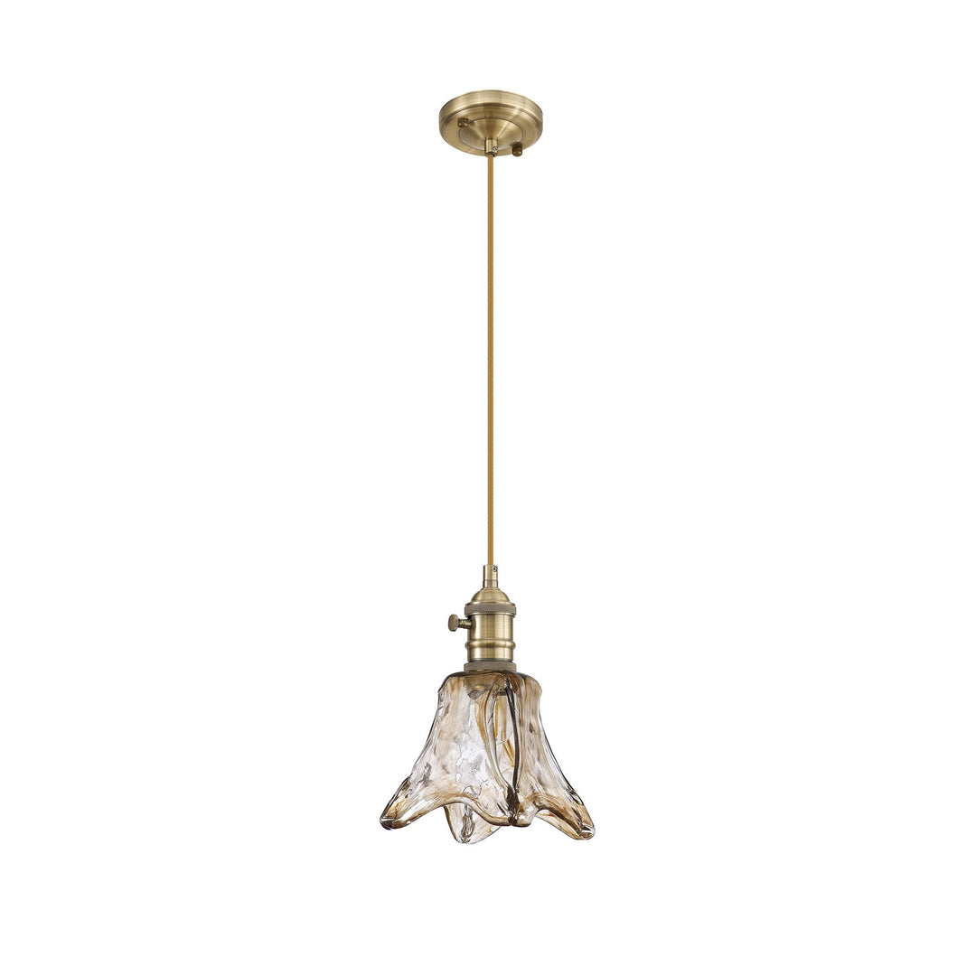 Nelson Lighting NL95229 Wady 1 Light Pendant Antique Brass Golden Brown