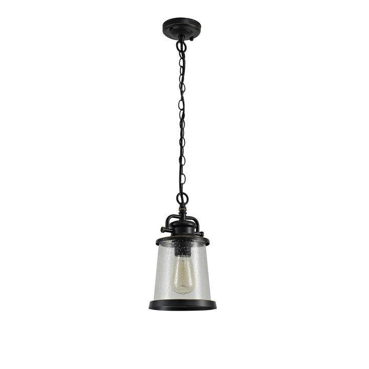 Nelson Lighting NL71979 Brad Outdoor Pendant Black/Gold With Seeded Clear Glass