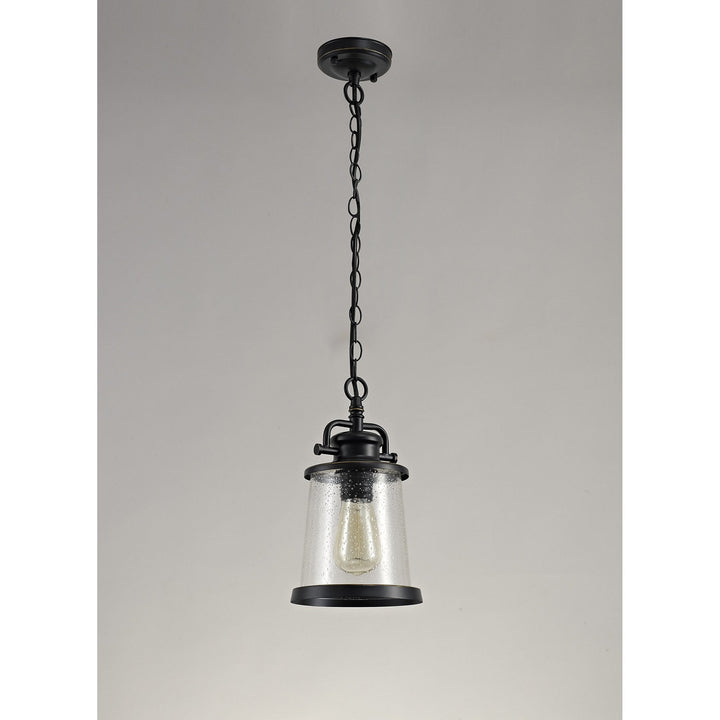 Nelson Lighting NL71979 Brad Outdoor Pendant Black/Gold With Seeded Clear Glass
