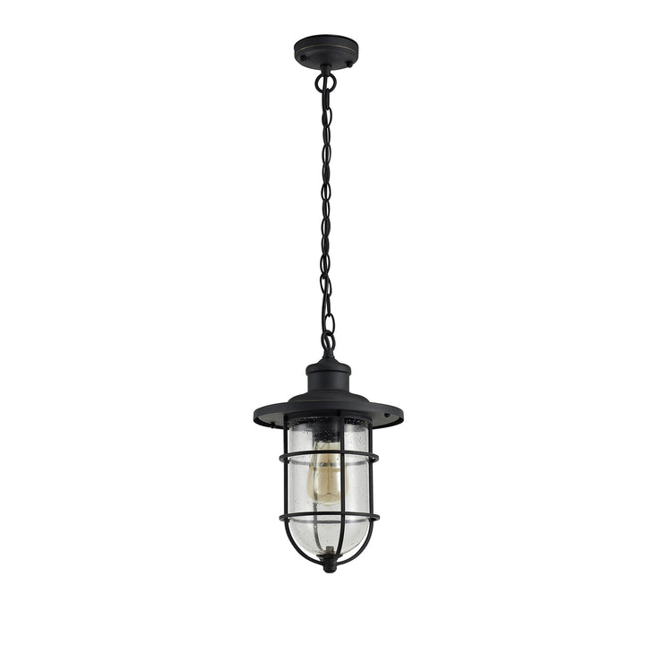 Nelson Lighting NL73149 Bosun Outdoor Pendant Black/Gold With Seeded Clear Glass