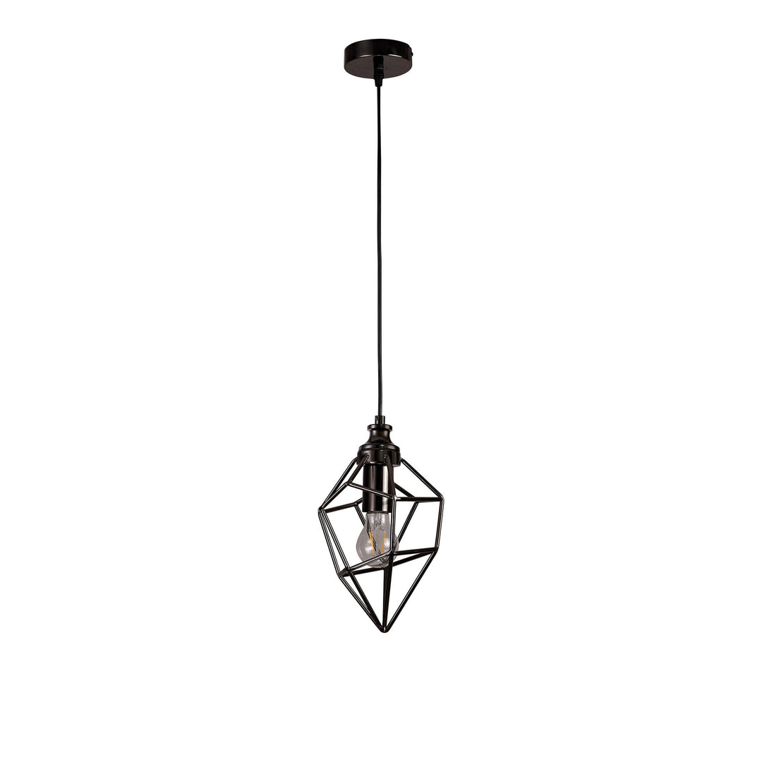 Nelson Lighting NL71389 Davie Small Pendant 1 Light Black Nickel