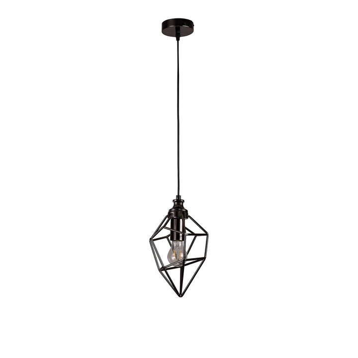 Nelson Lighting NL71389 Davie Small Pendant 1 Light Black Nickel