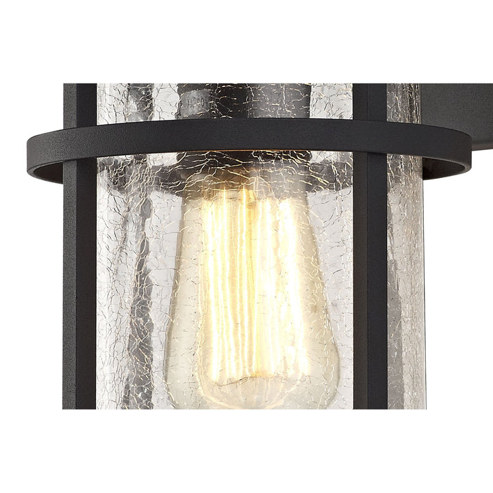 Nelson Lighting NL73189 Ellis Outdoor Wall Lamp 1 Light Black/Clear Crackled Glass
