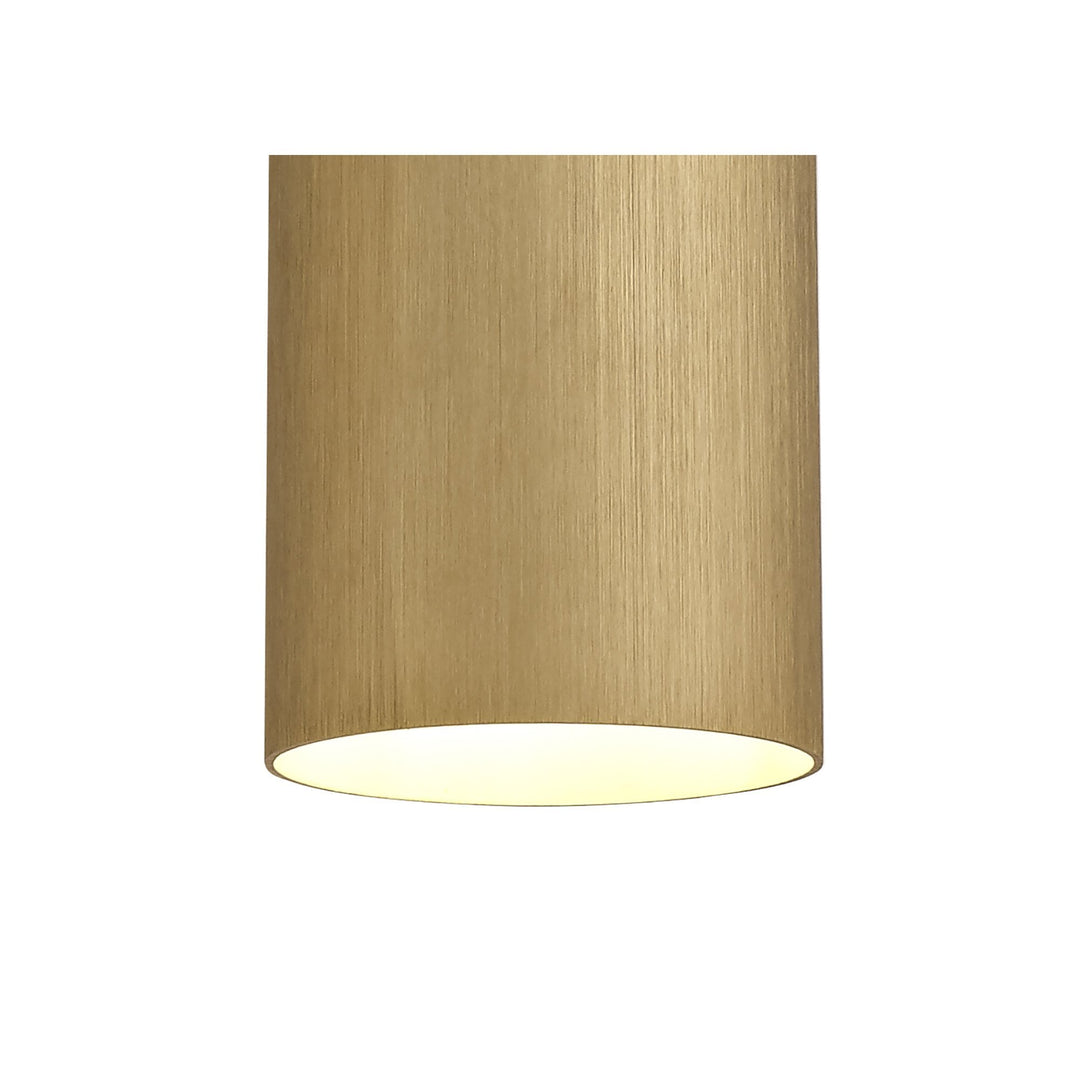 Nelson Lighting NL74099 Amo Single Pendant Gold/Polished Chrome