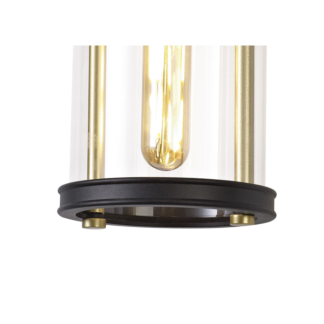 Nelson Lighting NL75829 Gast Outdoor Small Wall Lamp 1 Light Black & Gold/Clear Glass