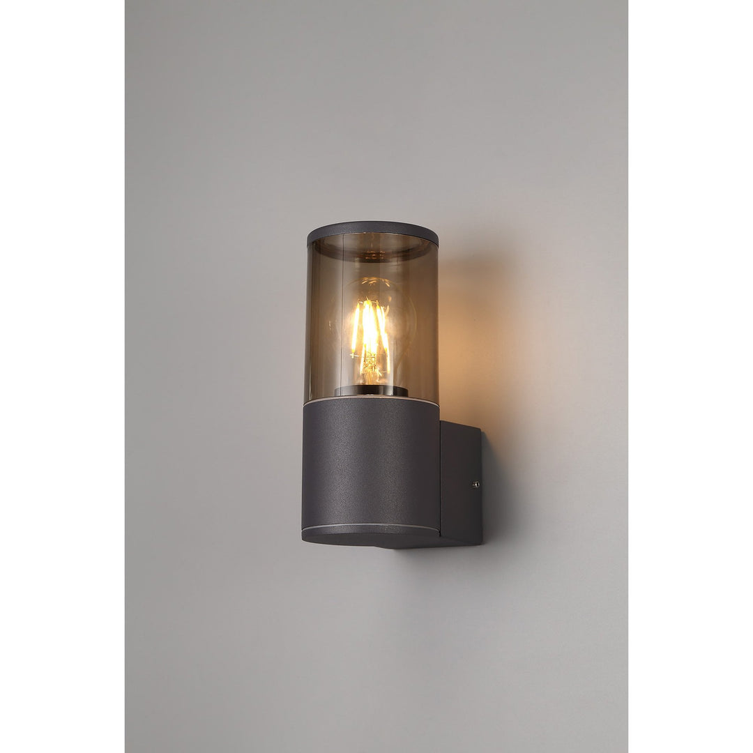 Nelson Lighting NL7775/SM9 Marc Outdoor Wall Lamp 1 Light Anthracite/Smoked