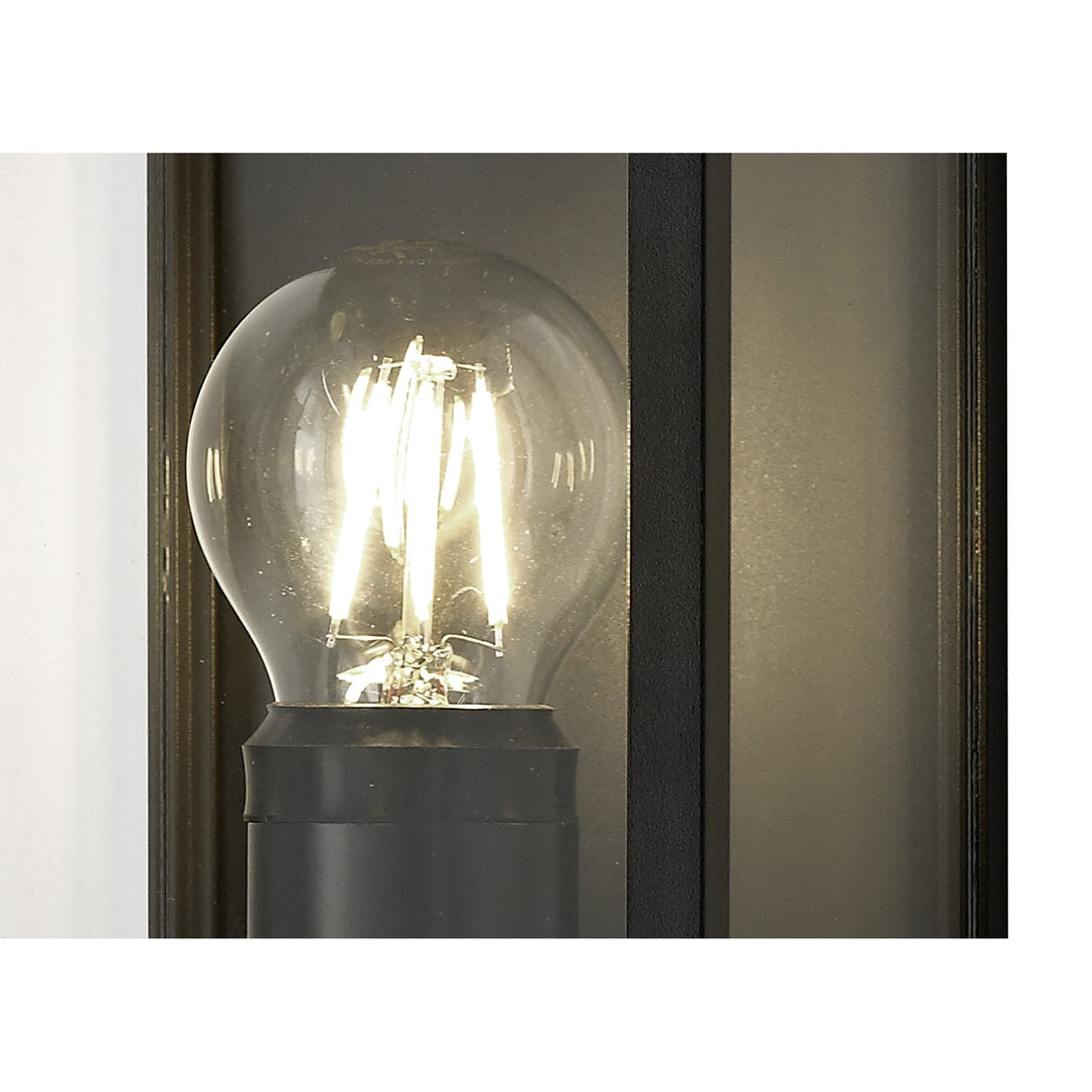 Nelson Lighting NL71159 Mateo Outdoor Flush Wall Lamp 1 Light Graphite Black