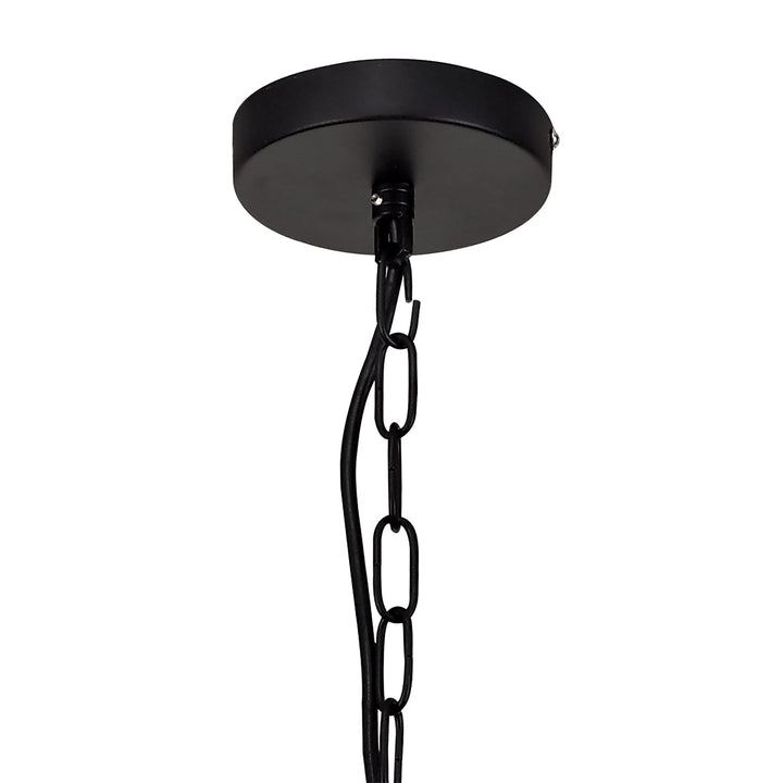 Nelson Lighting NL81689 Prince Pendant 4 Light Matt Black