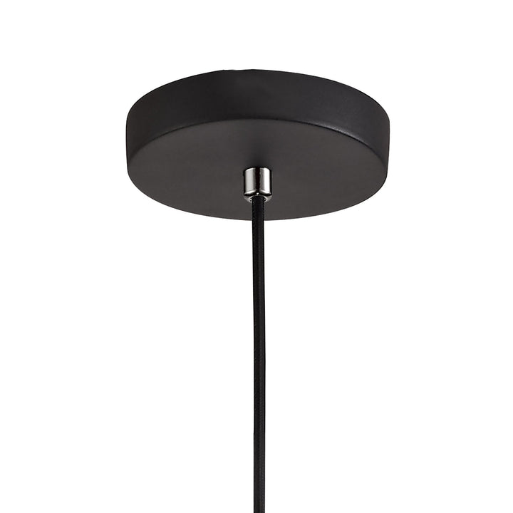 Nelson Lighting NL75859 Riannon Single Pendant 1 Light Black/Clear Glass