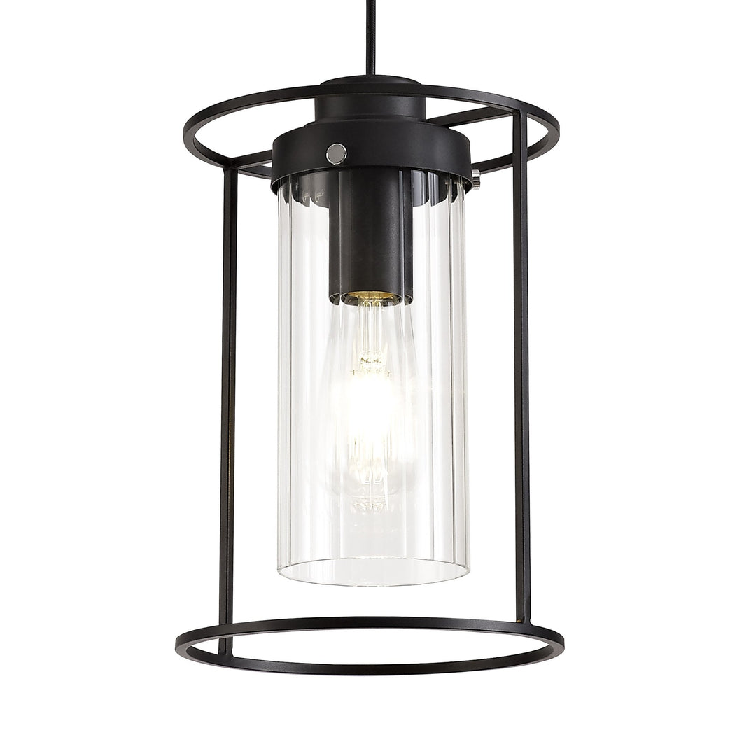 Nelson Lighting NL75859 Riannon Single Pendant 1 Light Black/Clear Glass