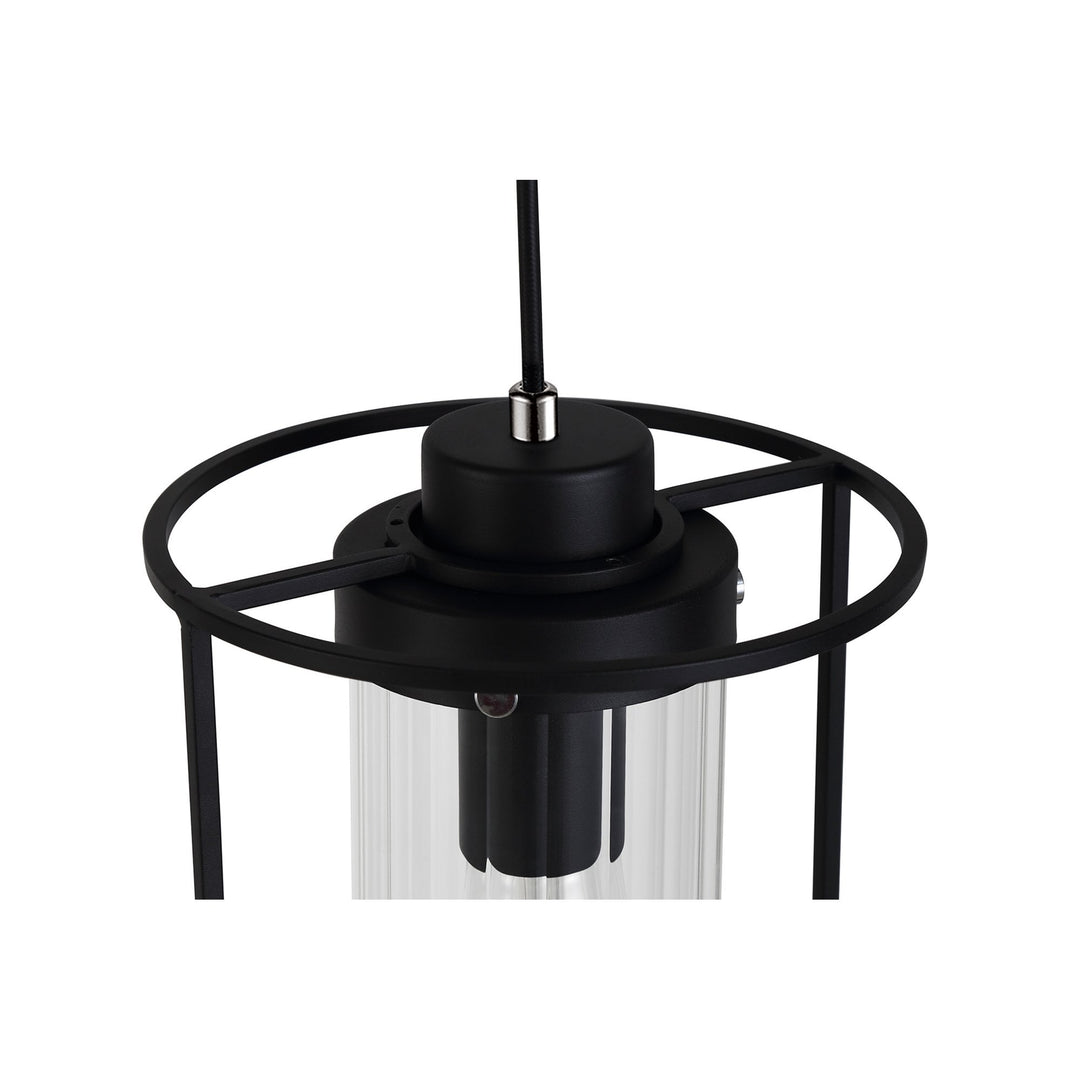 Nelson Lighting NL75859 Riannon Single Pendant 1 Light Black/Clear Glass