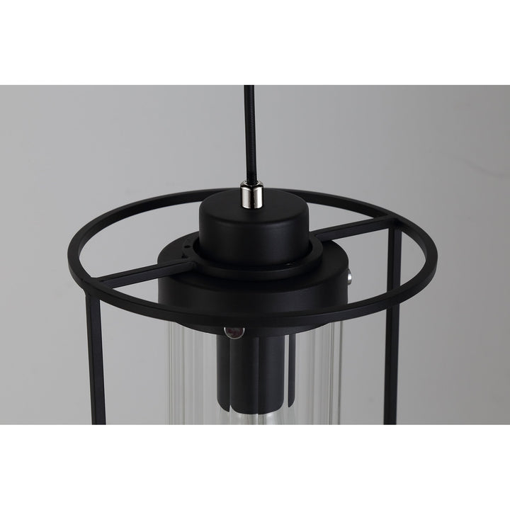 Nelson Lighting NL75859 Riannon Single Pendant 1 Light Black/Clear Glass