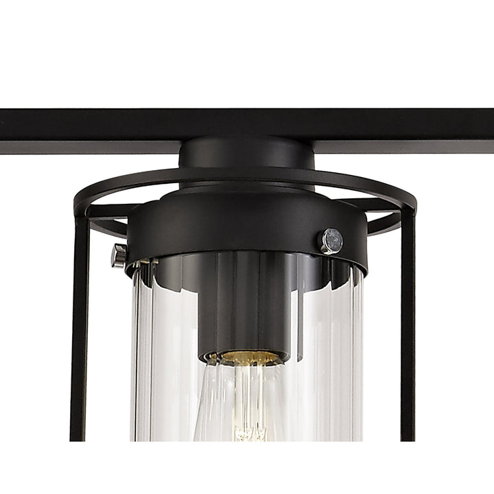 Nelson Lighting NL75869 Riannon Linear Pendant 3 Light Black/Clear Glass