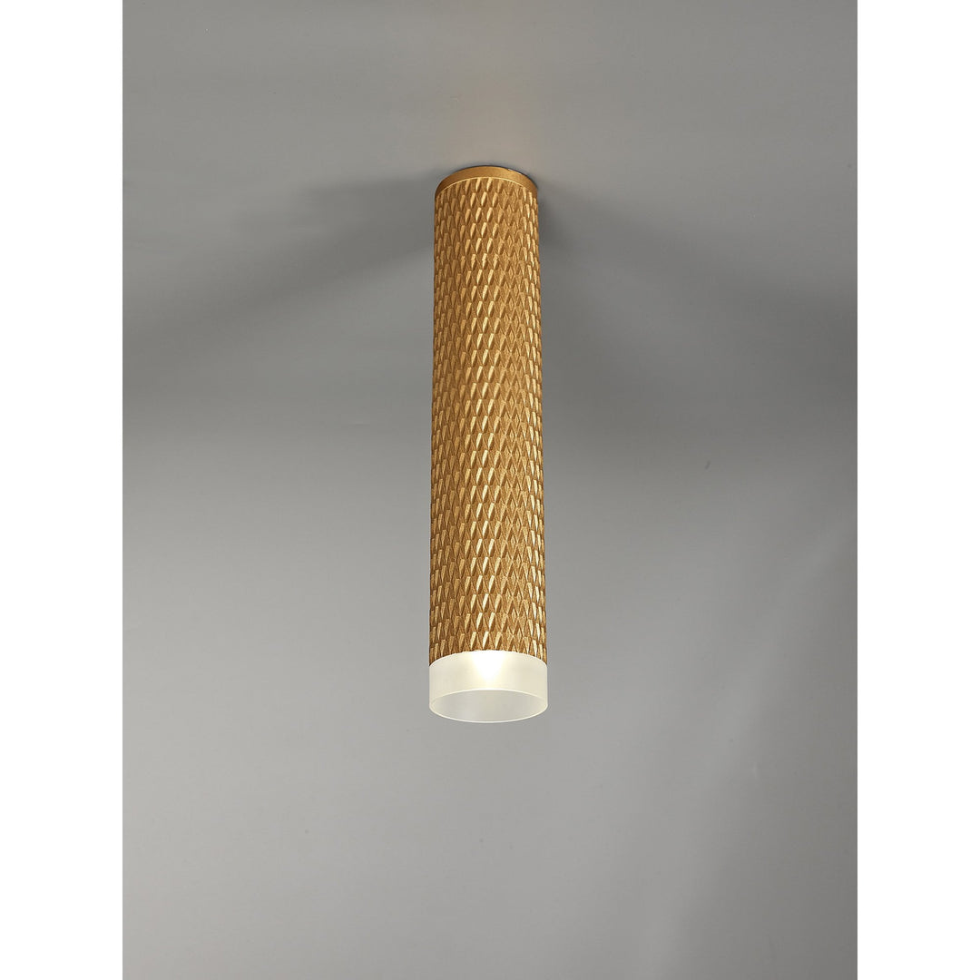 Nelson Lighting NLK01759 Silence 1 Light 30cm Surface Mounted Ceiling Champagne Gold/Acrylic Ring