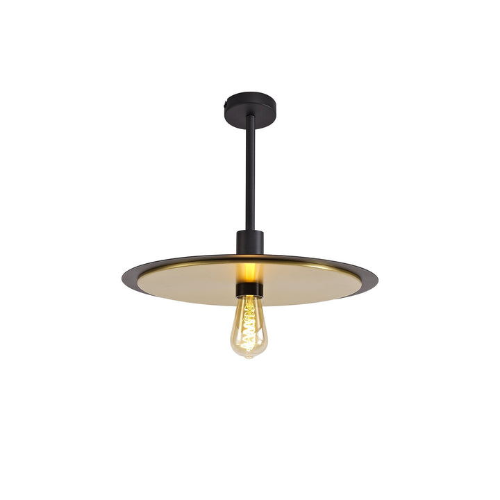 Nelson Lighting NL75679 | Tazzy 3-in-1 Light | Black & Gold Finish