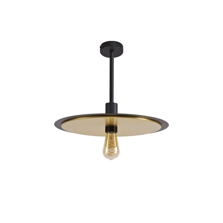 Nelson Lighting NL75679 | Tazzy 3-in-1 Light | Black & Gold Finish