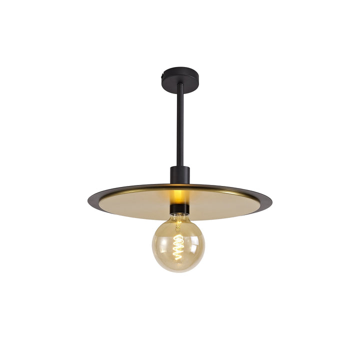 Nelson Lighting NL75679 | Tazzy 3-in-1 Light | Black & Gold Finish