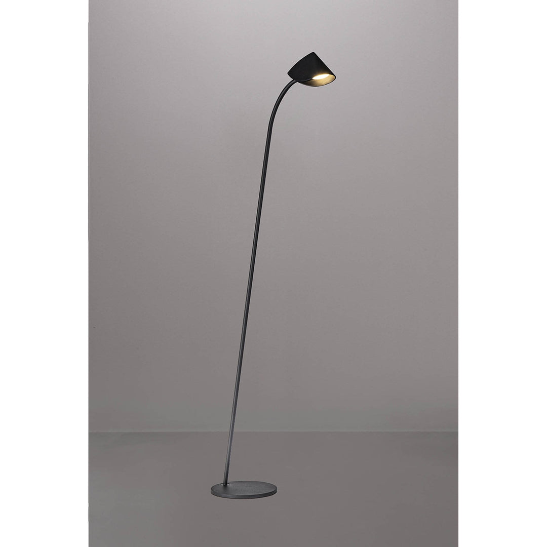 Mantra M7585 Capuccina 1 Light Floor Lamp 8.5W LED Black