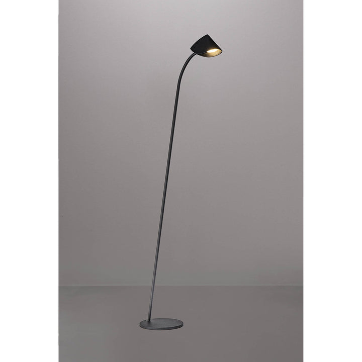 Mantra M7585 Capuccina 1 Light Floor Lamp 8.5W LED Black