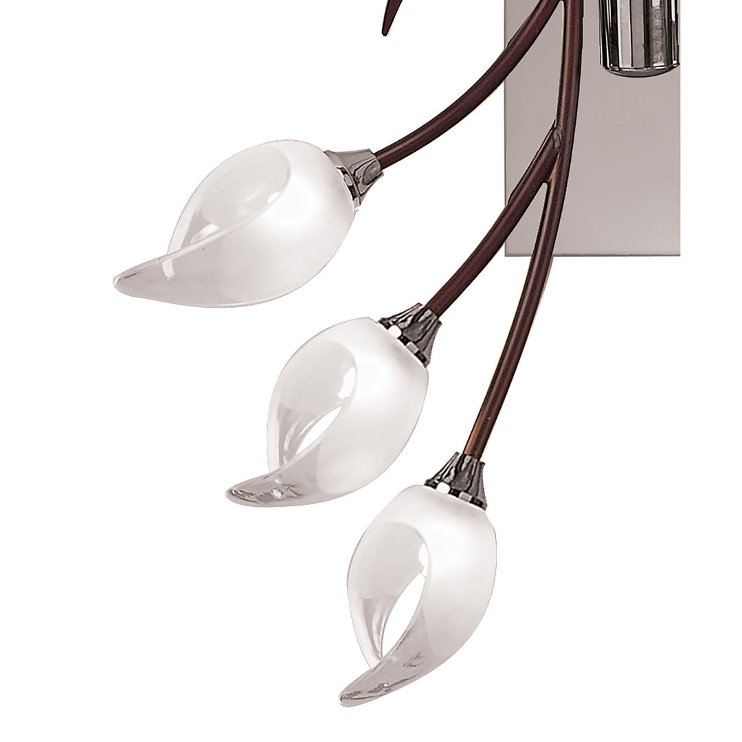 Mantra M0124/S Holland Ceiling/Wall Switched 6 Light G9 Polished Chrome/Wenge