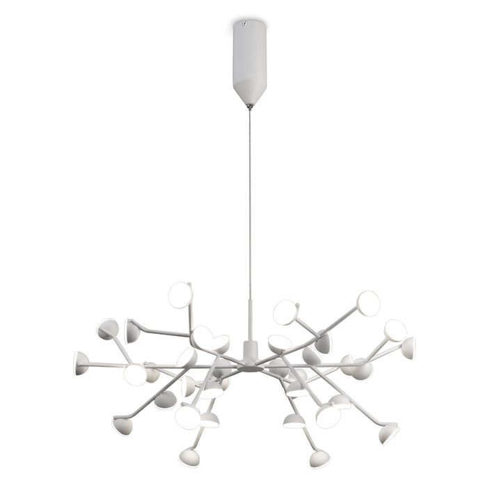 Mantra M6260 Adn 36 Light Pendant White