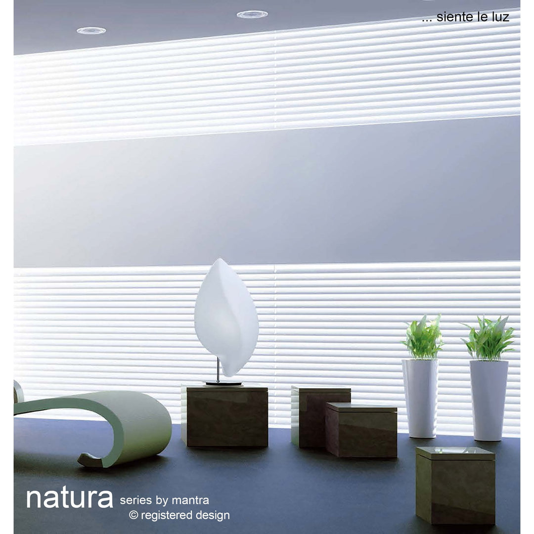 Mantra M3589 Natura Flush Ceiling/Wall Indoor Large 2 Light E27 Polished Chrome/Opal White