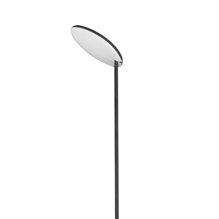 Mantra M8511 Nassau LED Floor Lamp 182cm Black