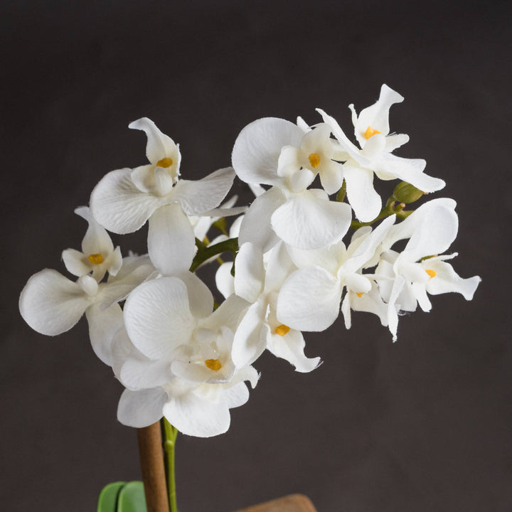 Hill Interiors 17402 Harmony White Potted Orchid