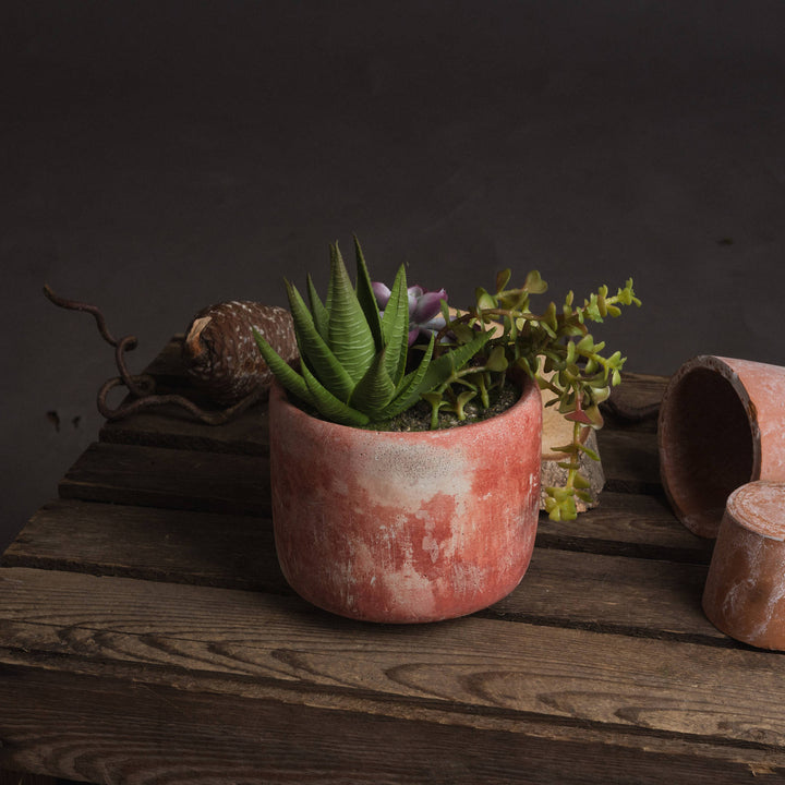 Hill Interiors 19042 Potted Succulent