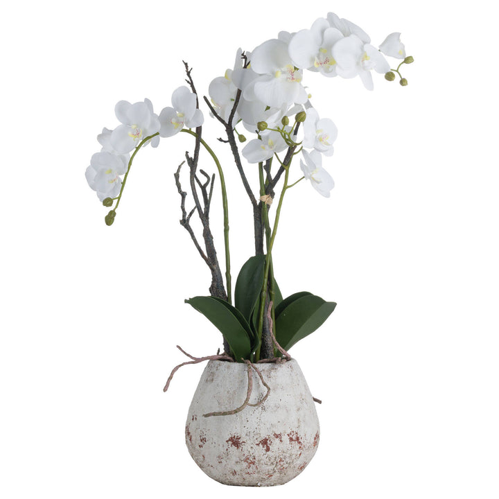 Hill Interiors 19956 White Orchid In Stone Pot