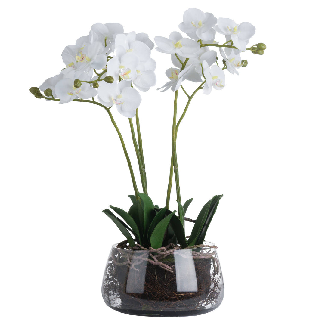 Hill Interiors 19957 White Orchid In Glass Pot