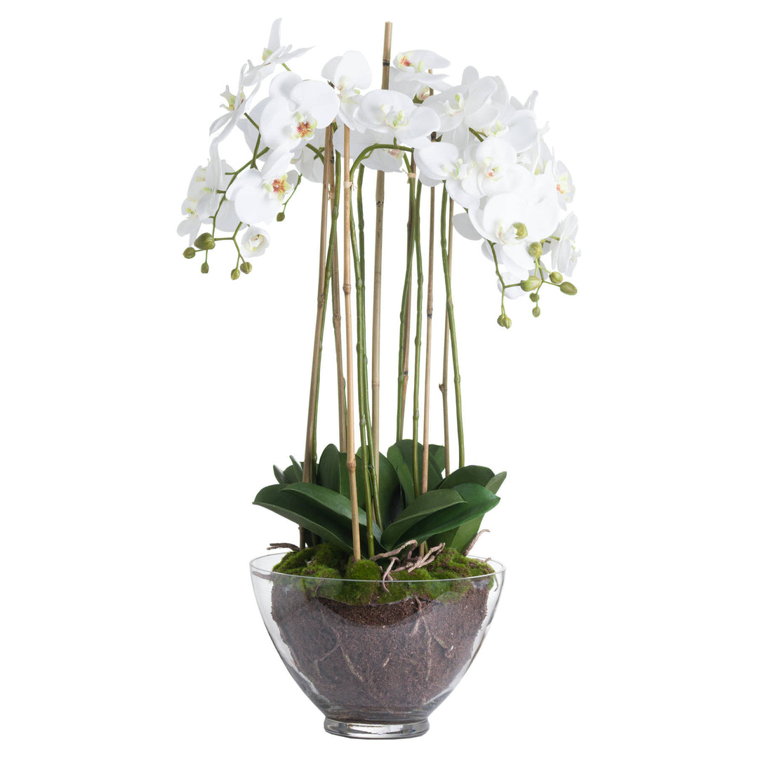 Hill Interiors 19959 Large White Orchid In Glass Pot
