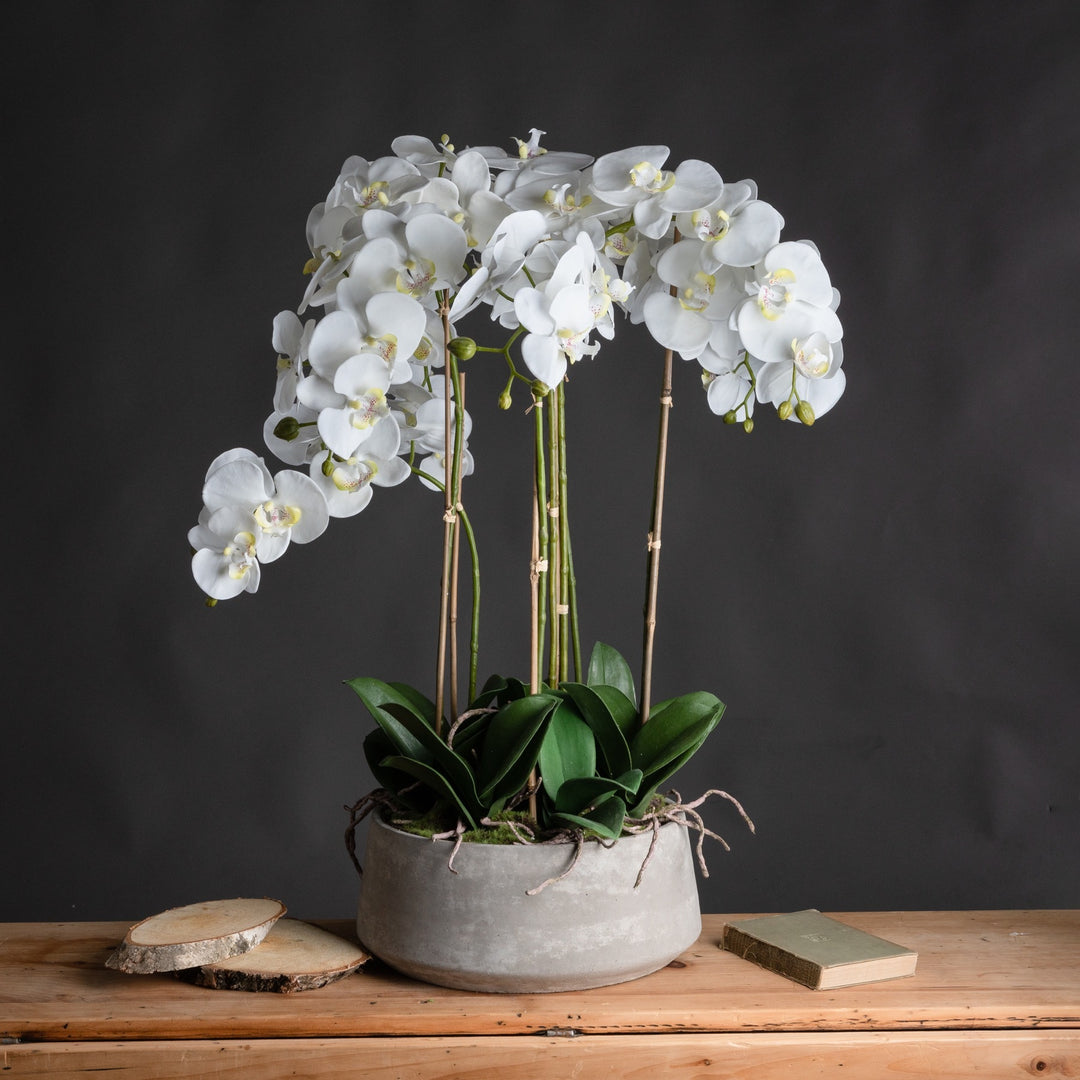 Hill Interiors 19960 Large White Orchid In Stone Pot