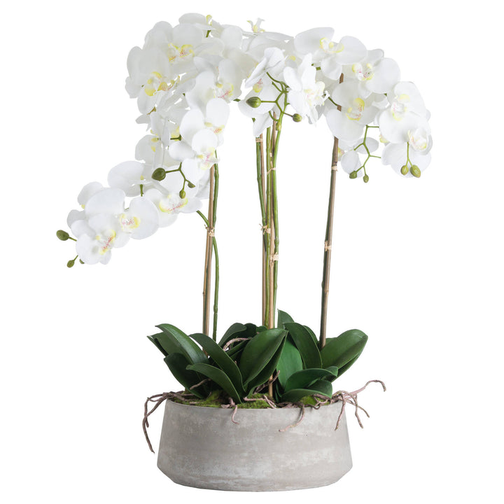 Hill Interiors 19960 Large White Orchid In Stone Pot
