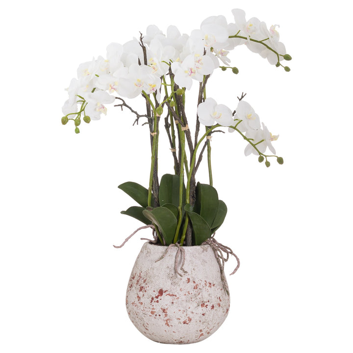 Hill Interiors 20430 Large Stone Potted Orchid With Roots