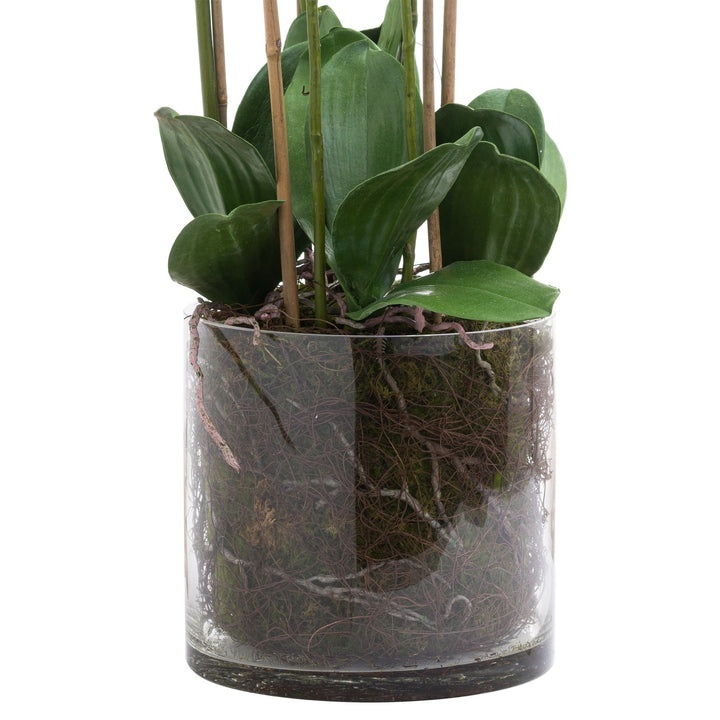 Hill Interiors 21228 Large White Tall Orchid In Glass Pot